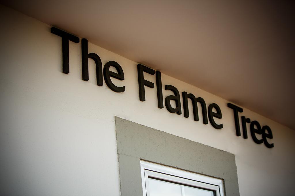 ホテル The Flame Tree Madeira (Adults Only) フンシャル エクステリア 写真